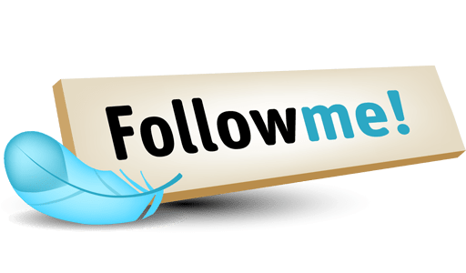 Follow Me Twitter Button - Mission-Cashflow.de